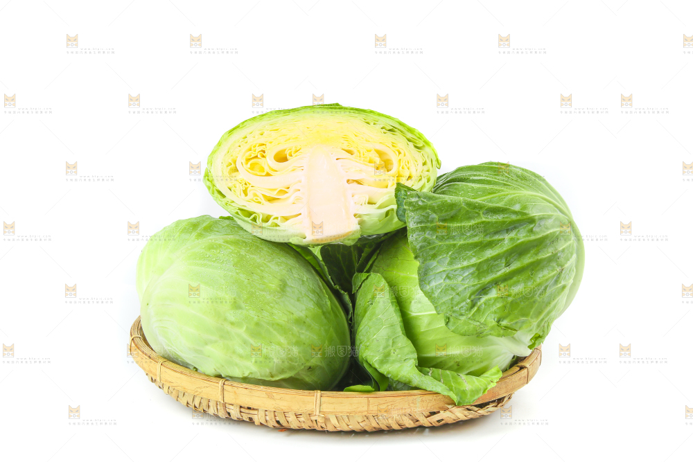 一筐新鲜包心菜放在白底上