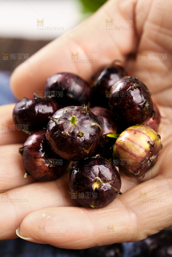 手拿红果参