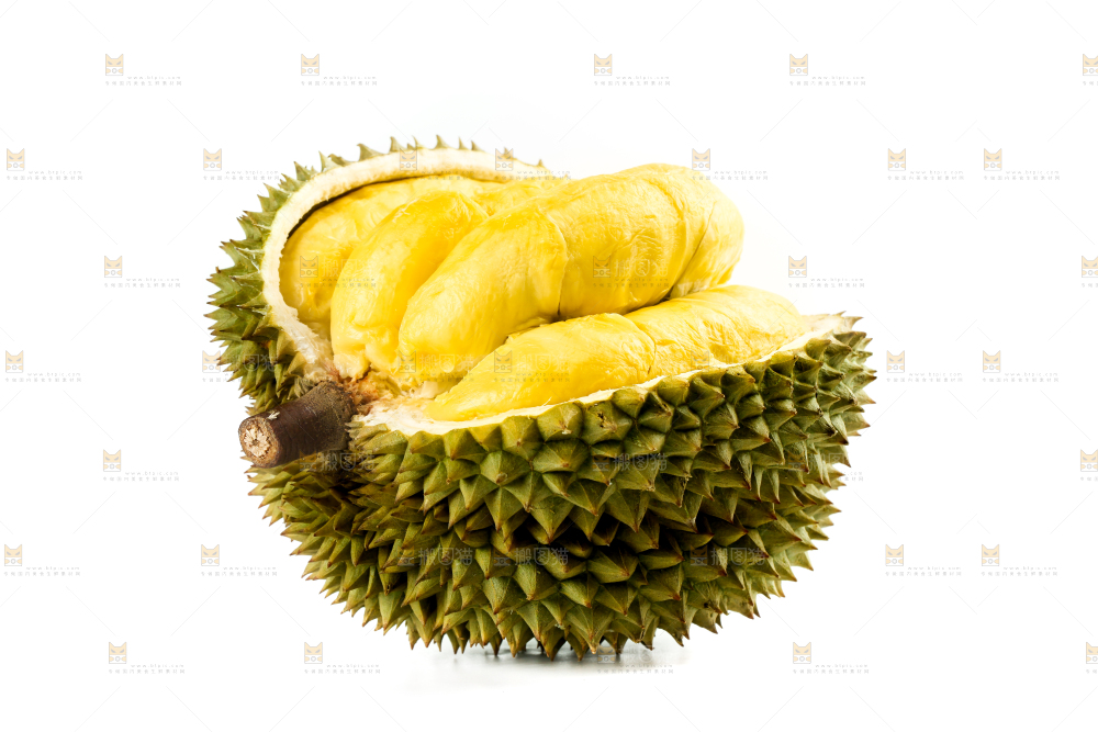 白底上摆放着甲仑榴莲