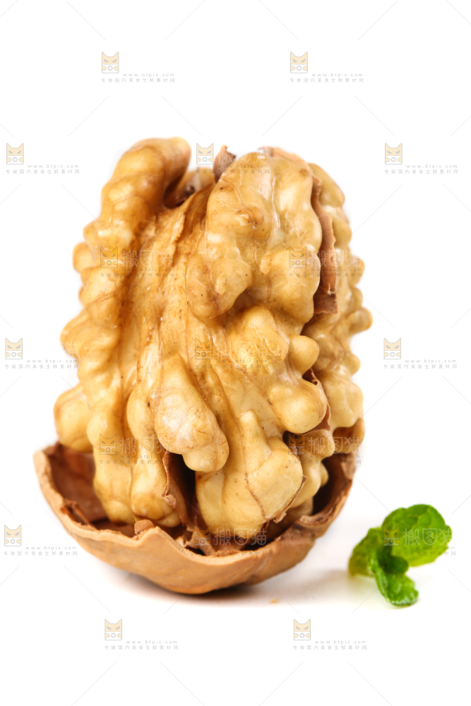 白底上的核桃仁