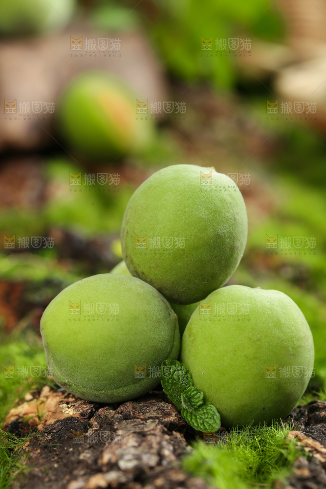 木底上放着云南大理青梅