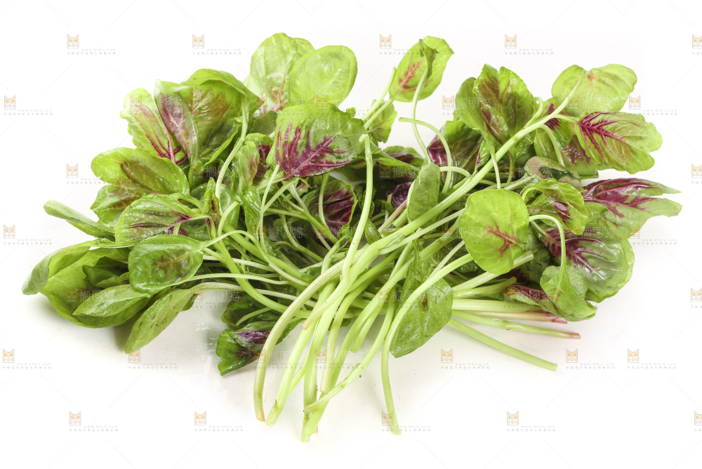 白底上的农家苋菜