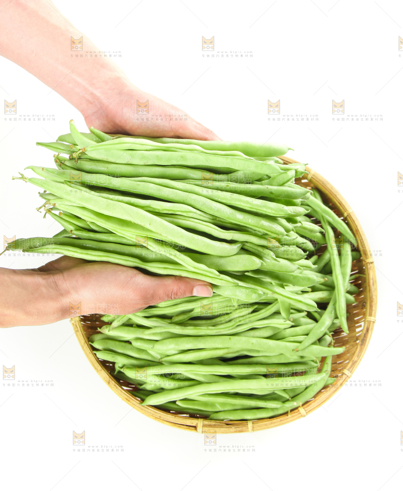 手里拿着鲜嫩四季豆