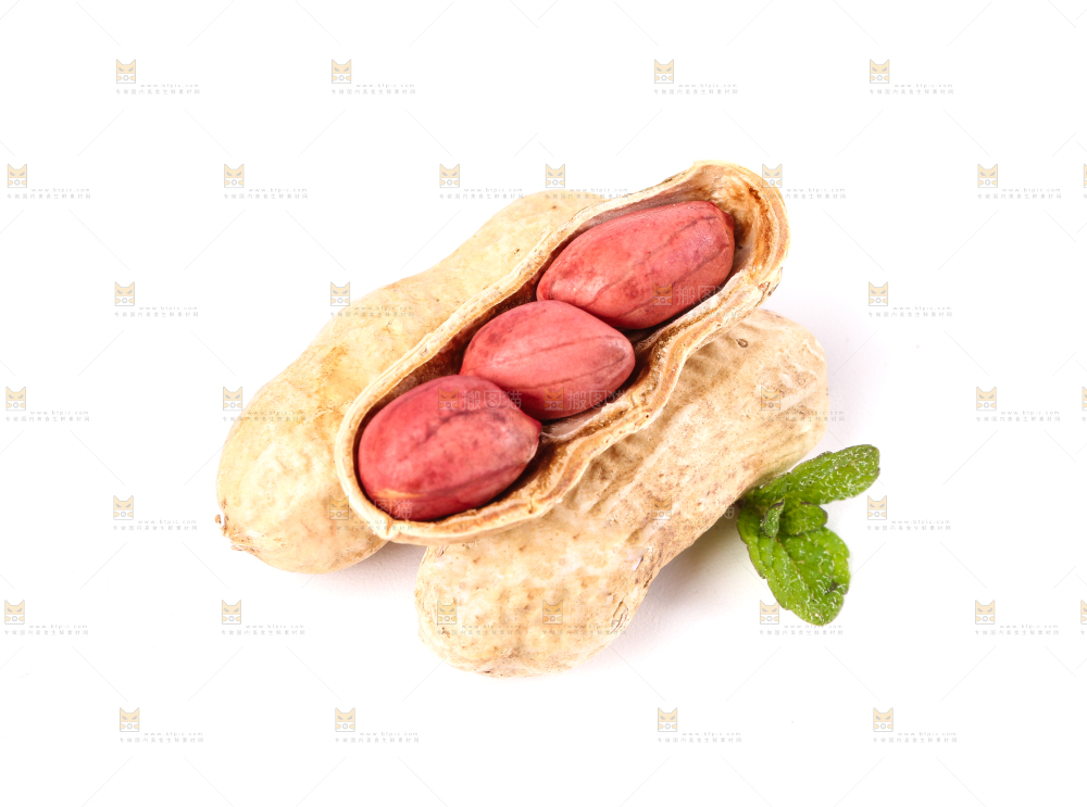 东北红皮花生放在白底上