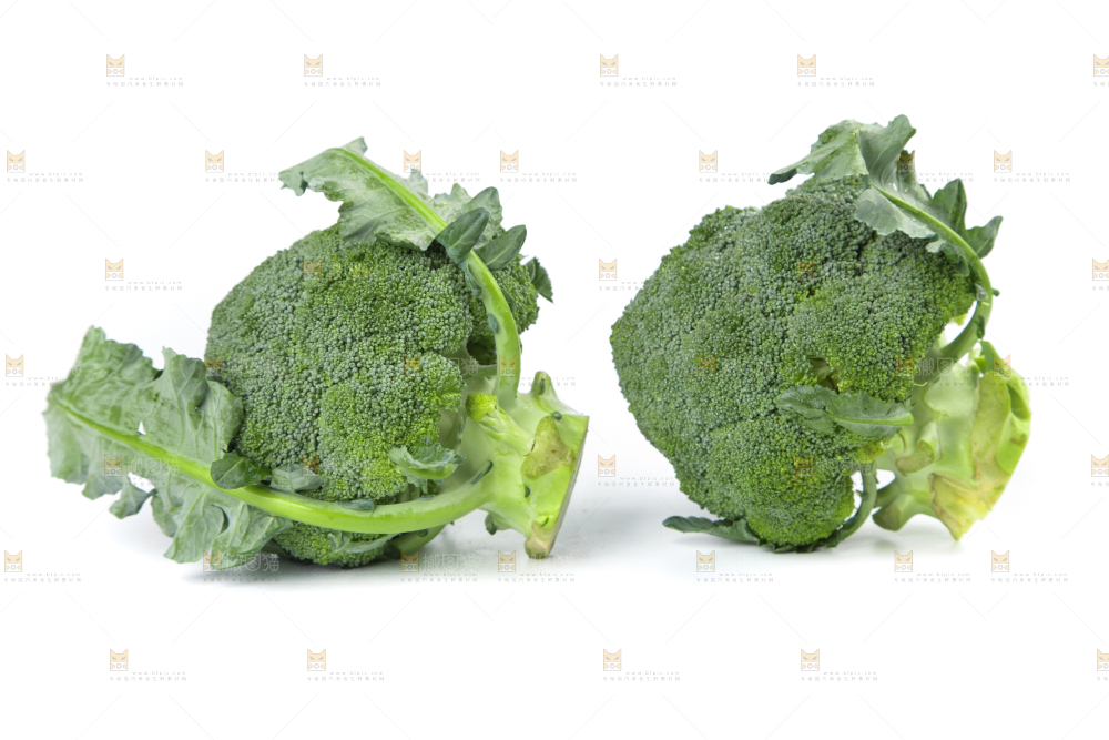 白底上的新鲜西兰花