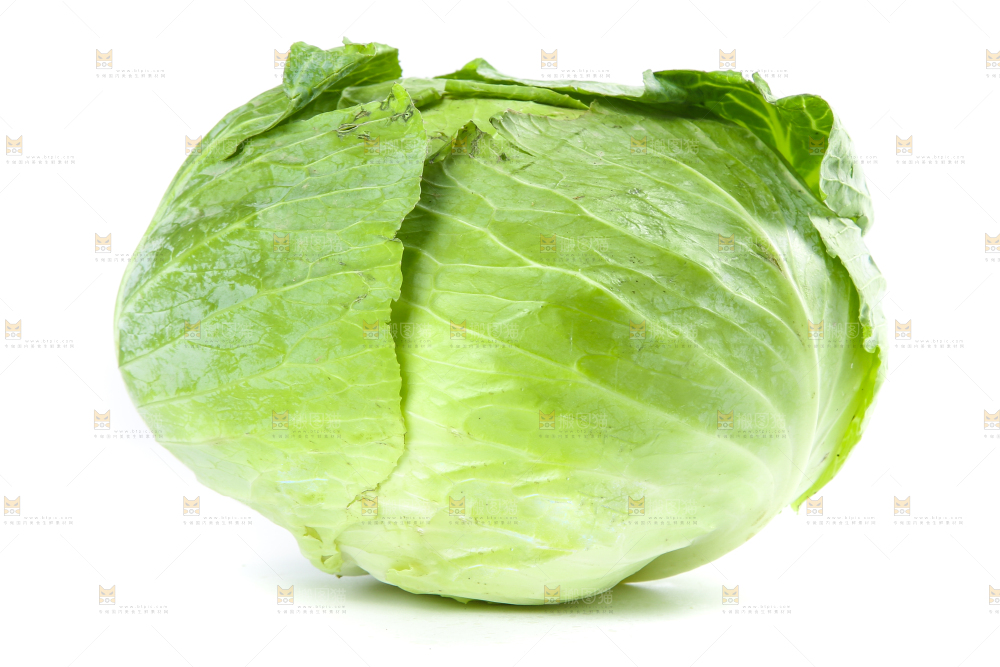 的底上的新鲜包菜