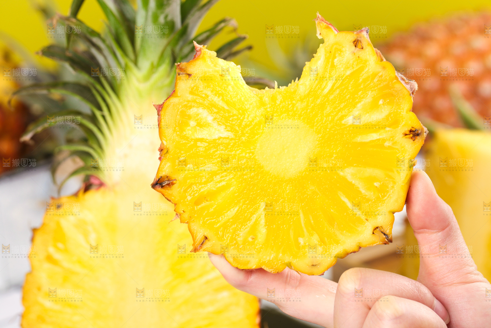 金钻凤梨