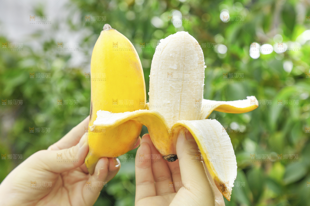 手拿剥皮的广西苹果蕉