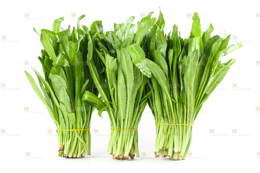 白底上的大香菜