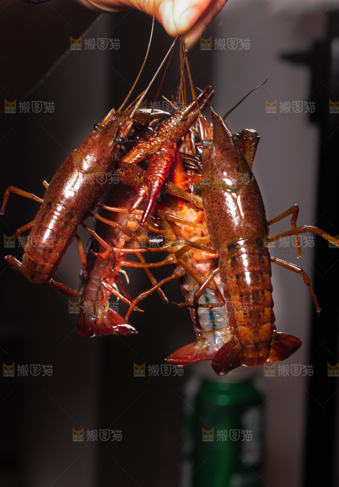 手里拿着清水虾