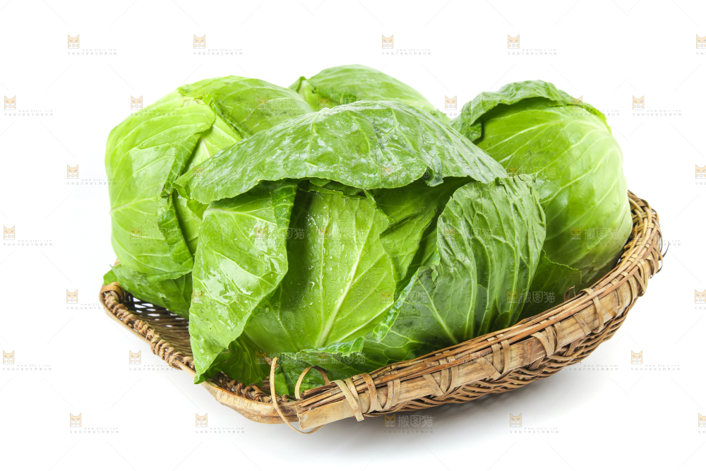 一筐新鲜包心菜放在白底上
