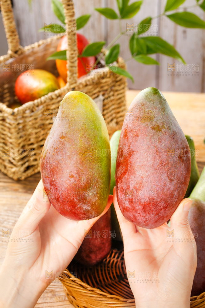 手拿贵妃芒