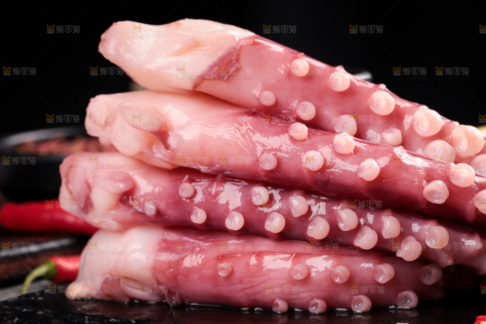 黑石板上的大鱿鱼