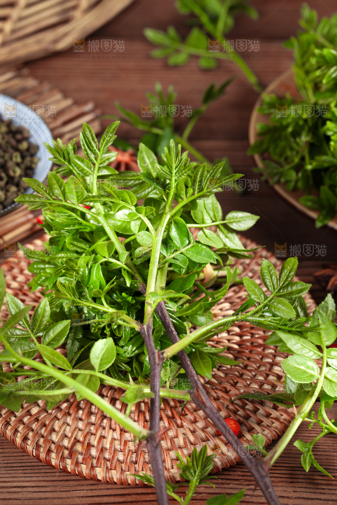 木底上的麻香花椒芽