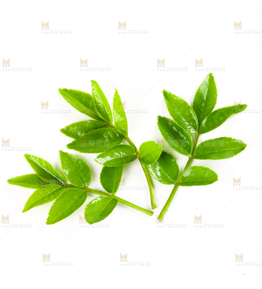 白底上放着花椒芽