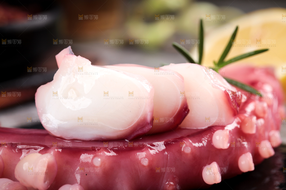 黑石板上的大鱿鱼