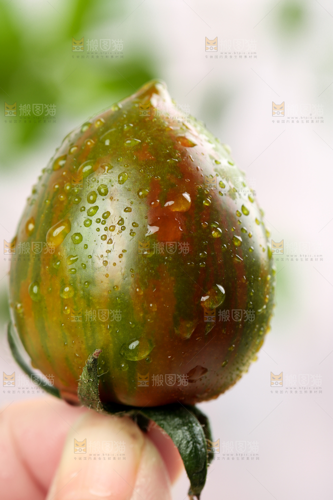 手拿迷彩小番茄