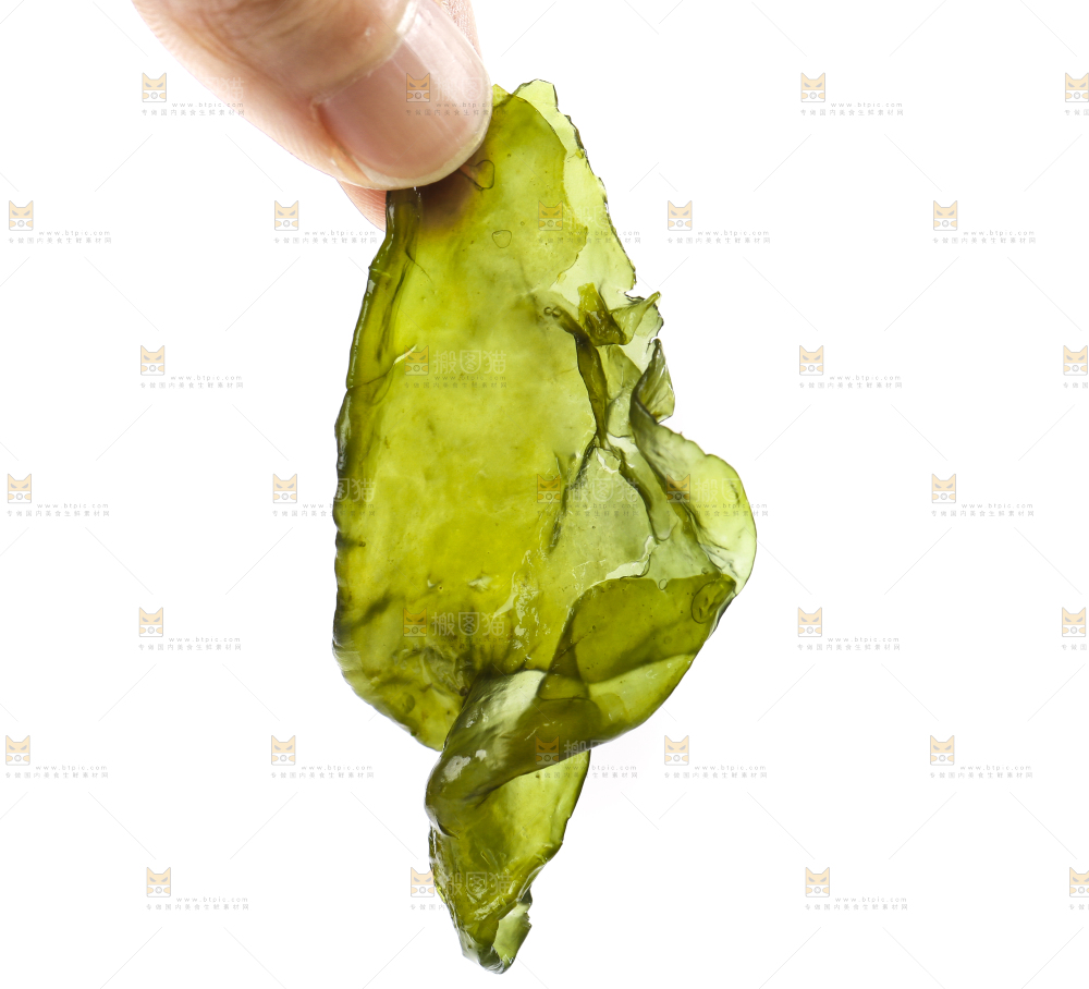 白底上的地皮菜