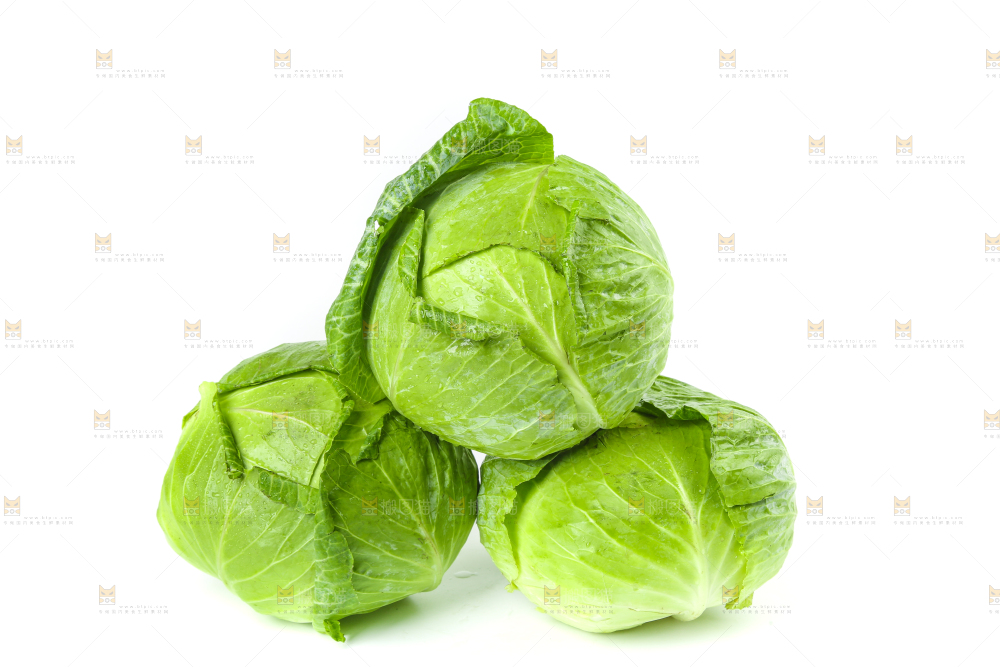 陕西新鲜莲心白放在白底上
