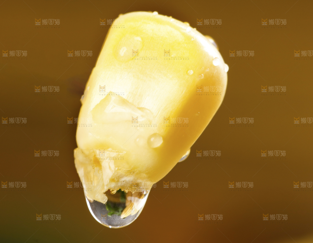 深底上放着玉米粒