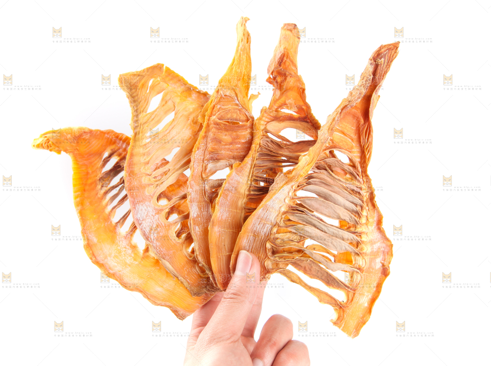 白底上的冬笋片