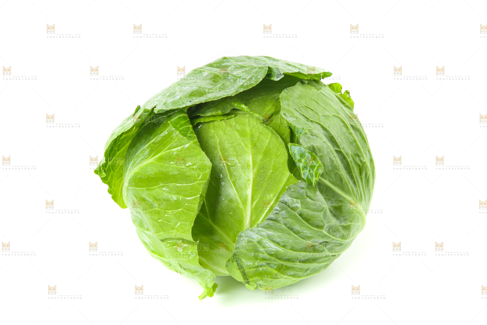 白底上的新鲜包菜