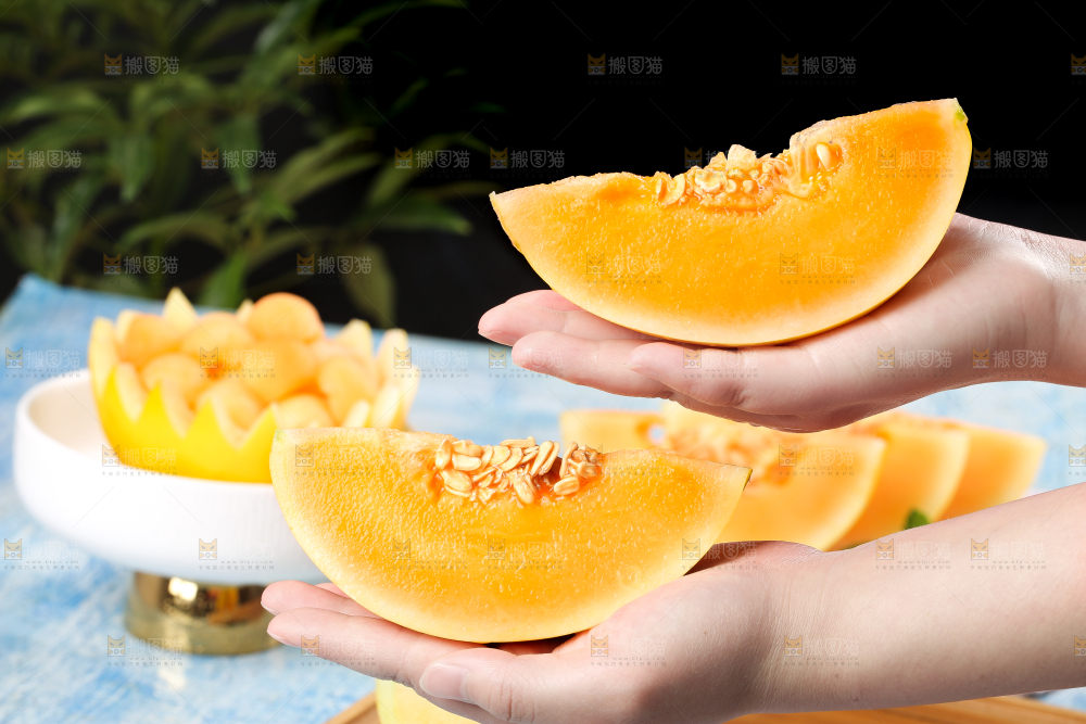 手拿切开的黄河蜜瓜