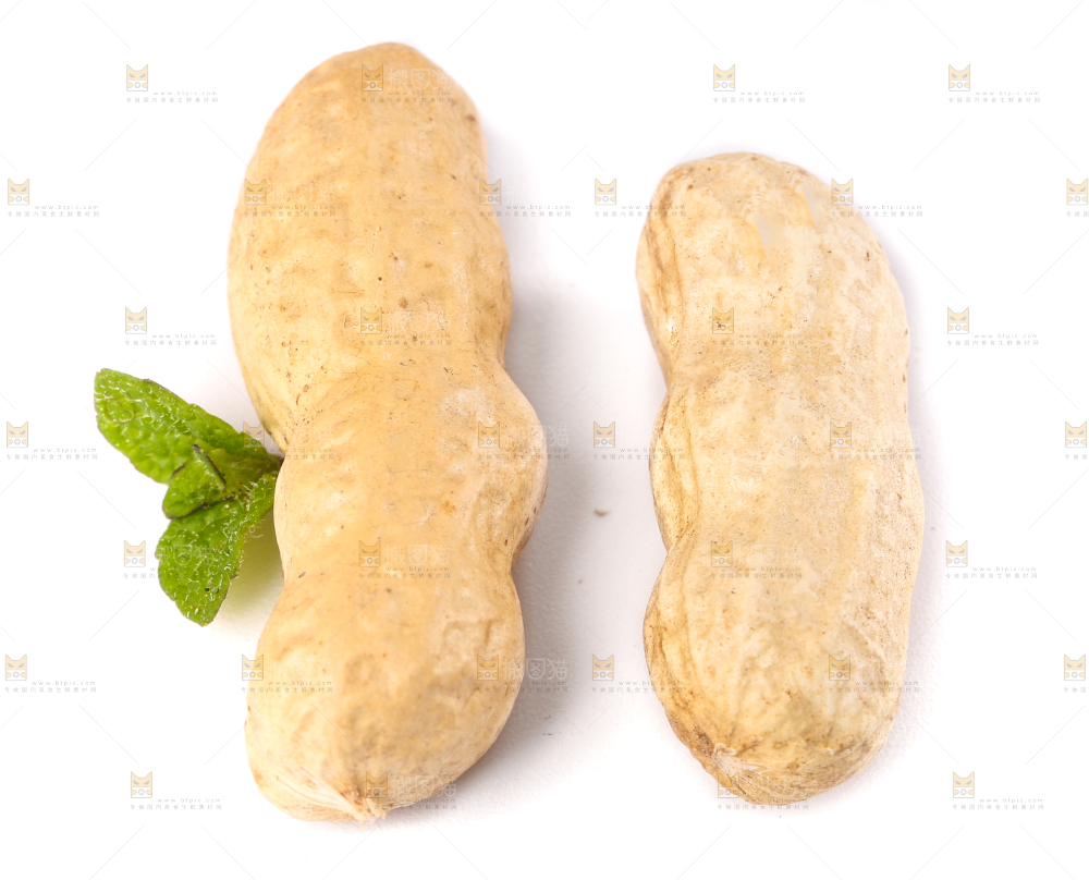 白底上放着东北红皮花生