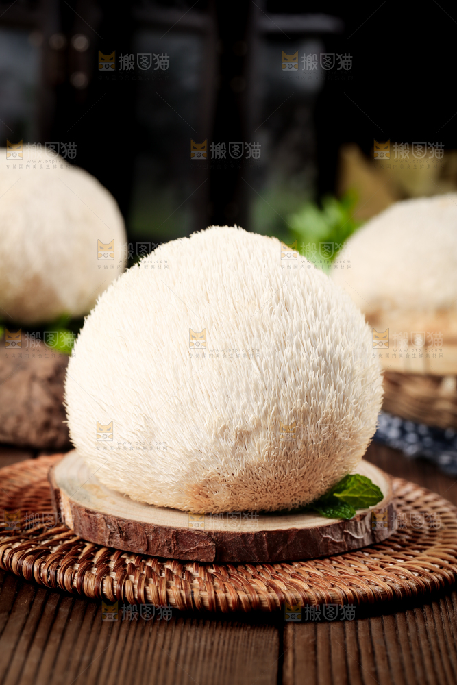 竹底上的云南新鲜猴头菇