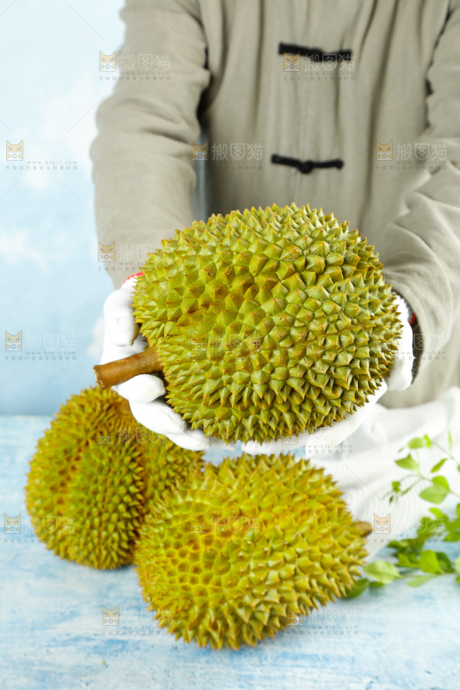 蓝底上的巴掌榴莲