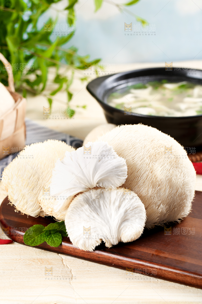 木板上放着长白山猴头菇