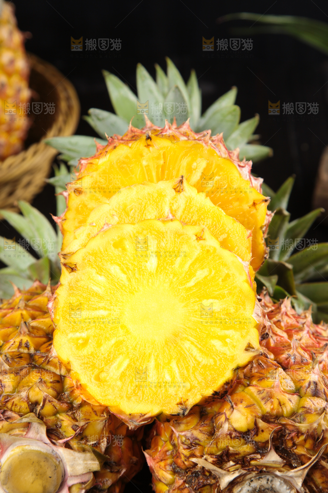 金钻凤梨