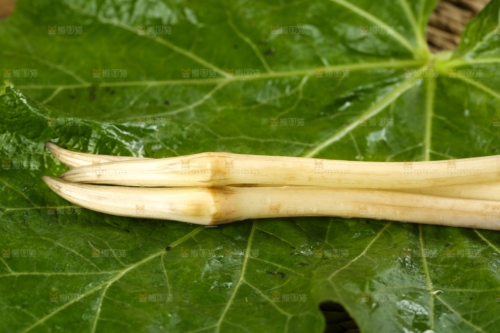 荷叶上放着洪湖藕带