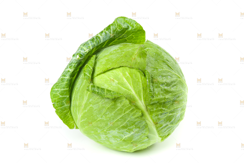白底上的包心菜