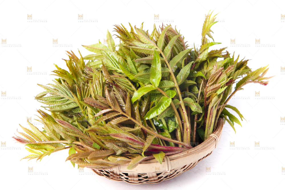 白底上放着一筐香椿芽
