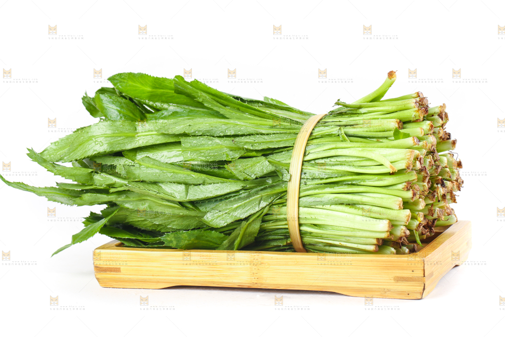 一盘云南大香菜放在白底上
