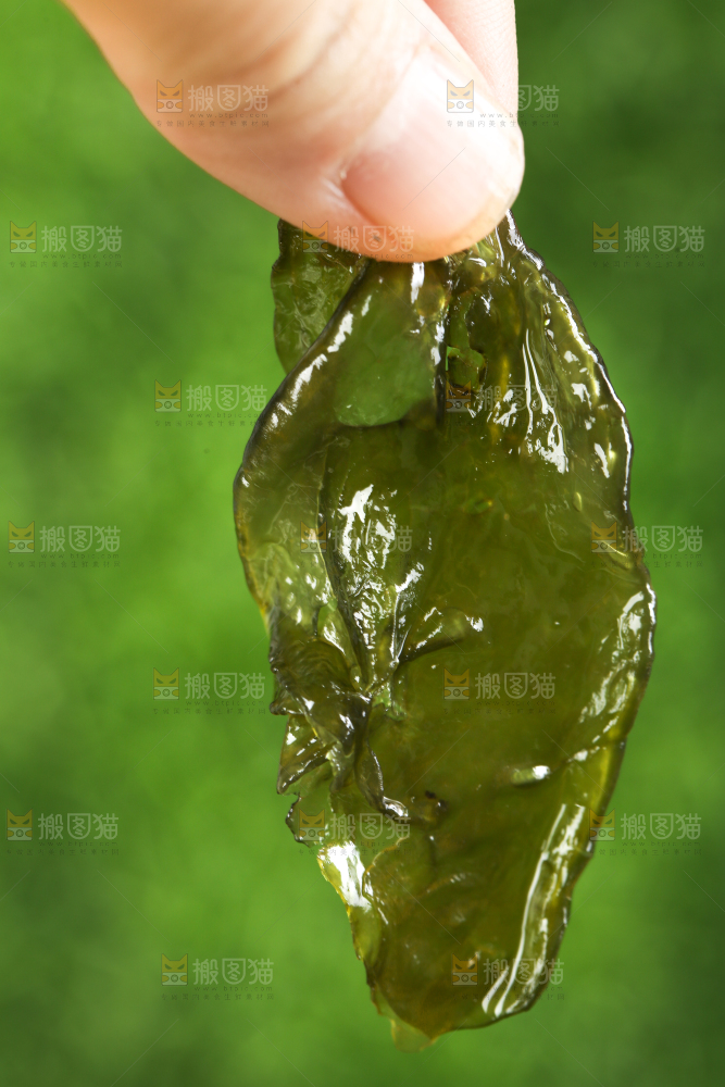 草地上放着地达菜