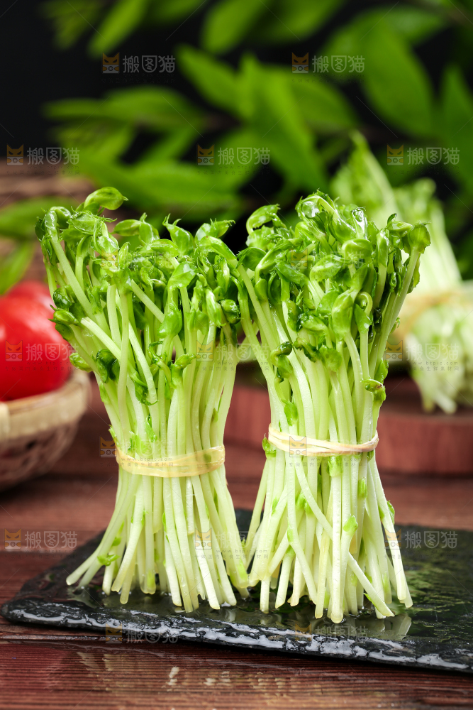 黑石板上的豌豆芽苗菜