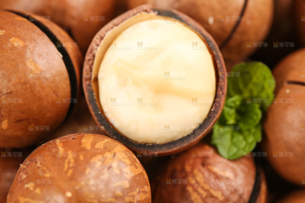 浅底上的夏威夷果