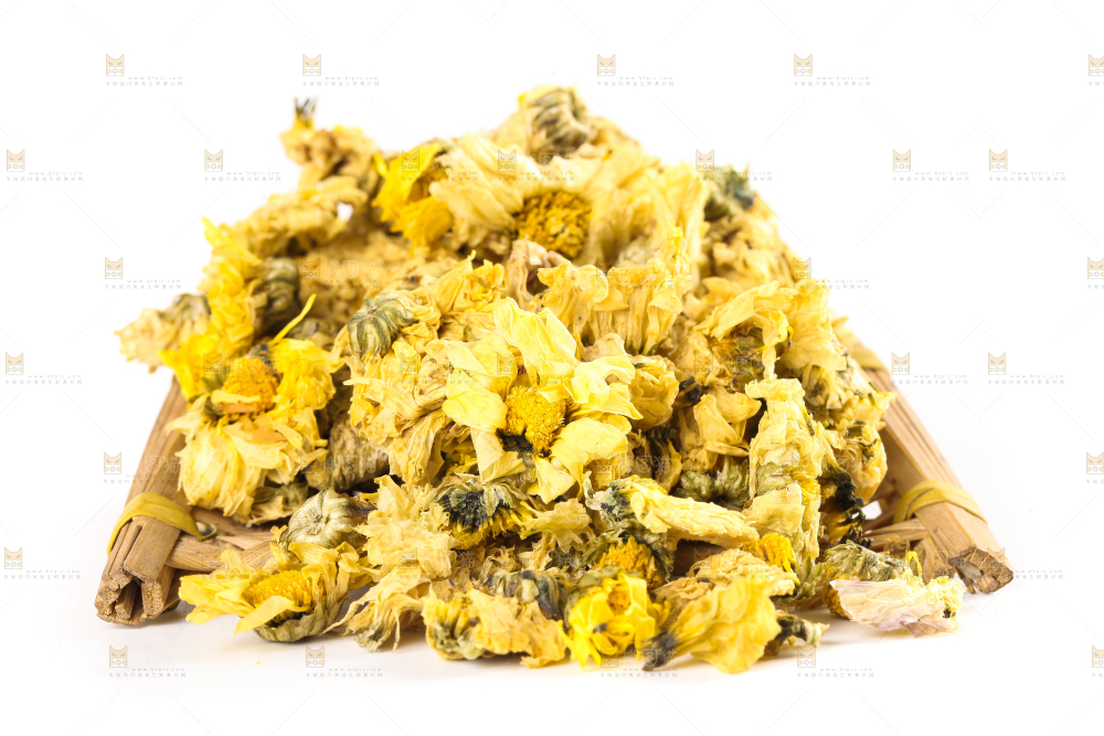 白底上的干菊花