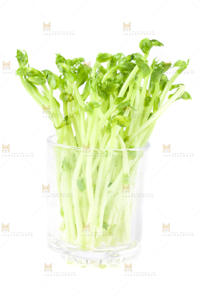 白底上放着豌豆芽菜