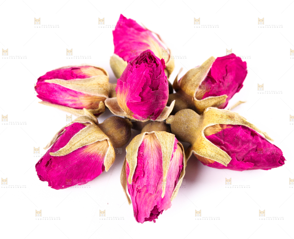 白底上的玫瑰花干