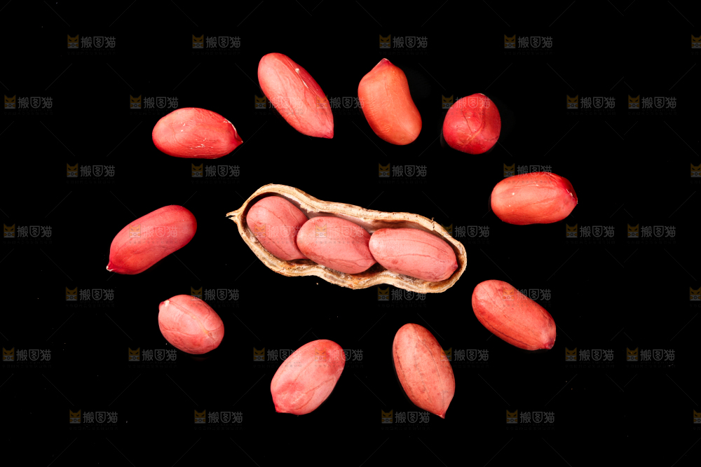 东北红皮花生放在黑底上