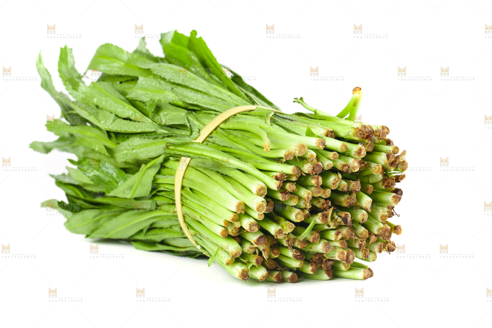 一捆云南大香菜放在白底上