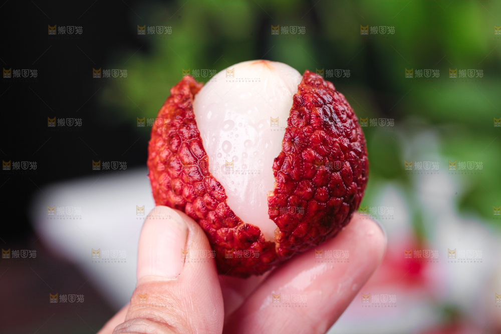 手拿新鲜的荔枝