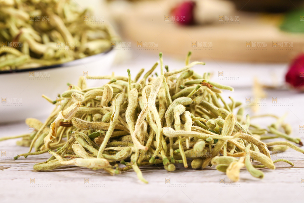 浅底上的干金银花
