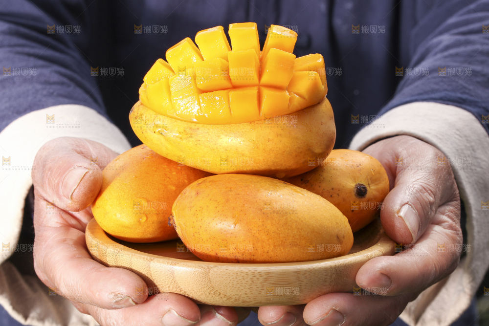 手拿一盘小台芒