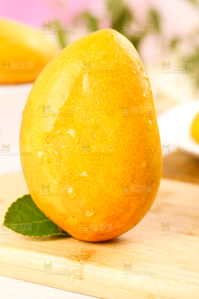 木底上的小台芒