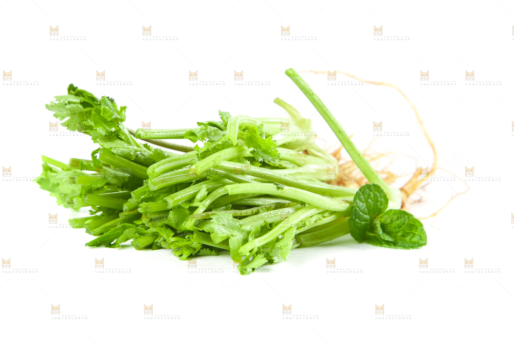白底上的香菜段