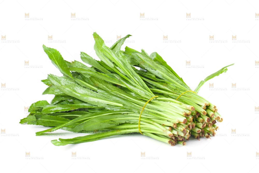 白底上的大香菜